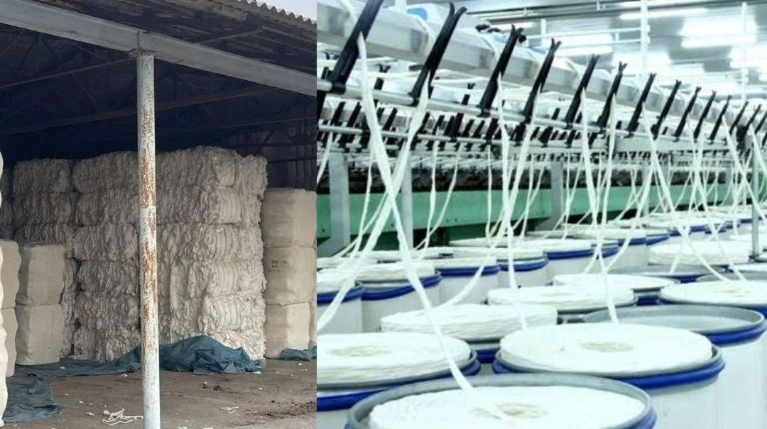 Uzbekistan's cotton yarn output jumps 51% in eight months as knitwear segments diverge